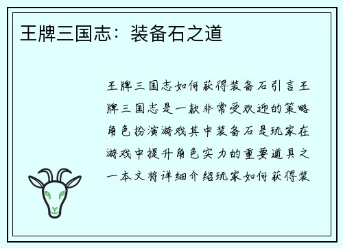 王牌三国志：装备石之道