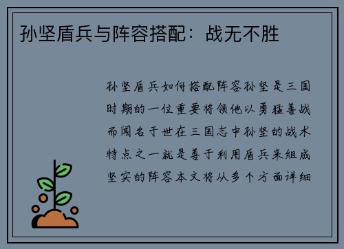 孙坚盾兵与阵容搭配：战无不胜